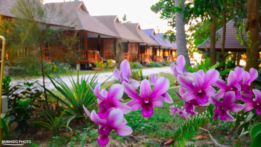 Baanchaylay Resort Khanom Pokój zdjęcie